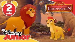 Lejonvakten  Scars armé 🐊 Disney Junior Sverige [upl. by Reppart]