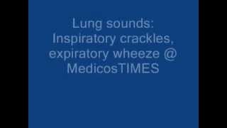 inspiratory crackles expiratory wheeze [upl. by Eirtemed]