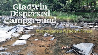 Gladwin Dispersed Camping Area in Monongahela National Forest [upl. by Notse]