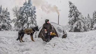 Caught in a Heavy Snowfall  Winter Camping in a Deep Snow Hot Tent Wood Stove Cold Weather [upl. by Schuyler]