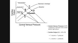 Cardiac amp Vascular Function Curves EXPLAINED [upl. by Notnef123]