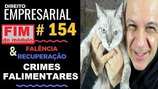 Direito Empresarial  Aula 154  Crimes Falimentares Fim do módulo [upl. by Neellek233]