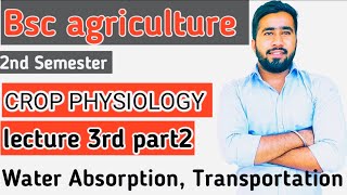 Absorption of water  Transpiration and Stomatal physiology Bsc agriculture crop physiology class [upl. by Dimitry]