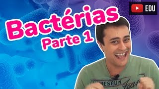 Reino Monera  Bactérias  Parte 1  Prof Paulo Jubilut [upl. by Anicart]