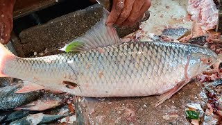 Big Mrigal Fish CuttingBig Mrigal Fish Cutting By Expert Fish Cutter [upl. by Eveineg]