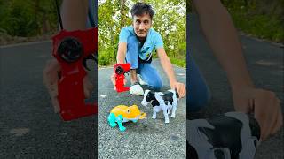 Rc Remote Control Cow 🐄 And Frog testing 😜 [upl. by Simmonds]