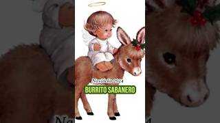 BURRITO SABANERONAVIDEÑO 2024 musica music oldies [upl. by Ahseet]