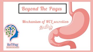 Mechanism of Hcl secretion  explained in Tamil mbbstamillectures [upl. by Burkhardt185]