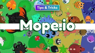 Mopeio  From Mouse to Dragon  Tips and Strategies  How to Play [upl. by Froh]