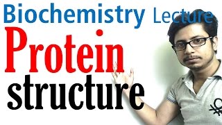 Protein structure  primary secondary tertiary and quaternary structure of protein [upl. by Ydoj]