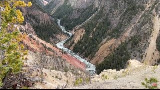 Exploring the Wild Wonders of Yellowstone National Park A Fun Adventure Awaits You [upl. by Mercer702]