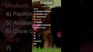 How Well Do You Know Dogs 🐕 Take This Fun Quiz Now [upl. by Aerdnna]