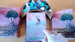 Intuitive Whispers Oracle  FlipThrough amp Timeless One Card Reading [upl. by Shaw419]