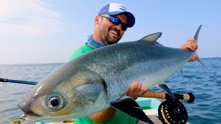 Arabian Milkfish on Fly [upl. by Takashi615]