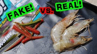 Which Will Catch More Fish Ep 2 Berkley Gulp Sandworm VS Frozen Shrimp [upl. by Garvey]