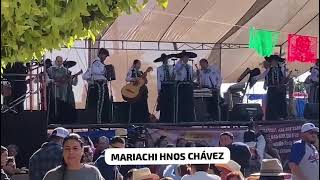 Mariachi Hnos Chávez de Cerano en San José de Porto GTO 2024 [upl. by Mosenthal]