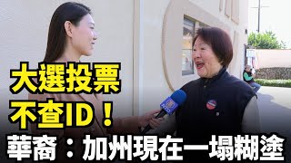 【選民心聲】大選投票不查ID！選民：加州現在一塌糊塗｜今日加州 [upl. by Rolfe]