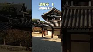 【法隆寺】法隆寺8 回廊を行く エンタシス 世界最古の木造建築 日本最古の五重塔 奈良観光のお供に：聖徳太子の魅力 法隆寺のすべてがわかる ＃Shorts 奈良とびっきり観光ガイド 【奈良観光】 [upl. by Gerbold99]