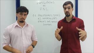 11  Processamos todas as informações através dos nossos sentidos [upl. by Nuy]