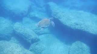 Snorkelen op Zakynthos [upl. by Azeel]