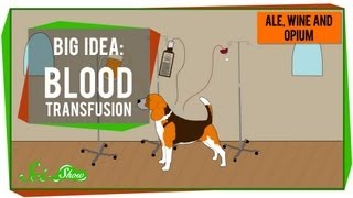 Big Idea Blood Transfusions [upl. by Faletti]