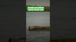 Flathead lake monster first spotted on boat tour flatheadlake lakemonster [upl. by Byrd389]