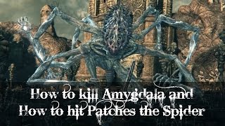 Bloodborne  How to kill Amygdala and How to hit Patches the Spider [upl. by Merari]