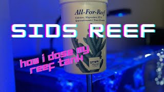 How I dose my tank with Tropic Marin AllforReef [upl. by Angelle]