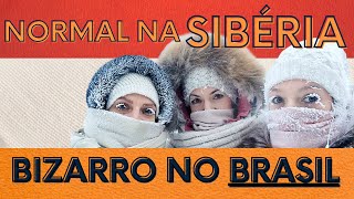 COISAS QUE SÃO NORMAIS NA SIBÉRIA MAS SÃO BIZARRAS NO BRASIL [upl. by Vish]