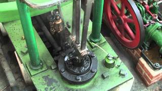 The Collection Of Steam Engines At Crofton Pumping Station [upl. by Olinad]