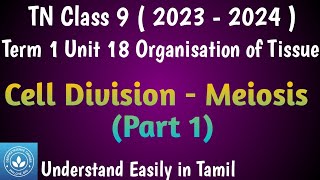 Meiosis Part 1  Heterotypic Division Class 9 Science Term 1 Unit 18 Organisation of Tissue [upl. by Llerref957]