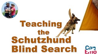 Training The Blind Search for Schutzhund [upl. by Aekim194]