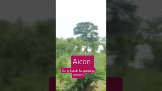 Aicon desa [upl. by Tomchay155]