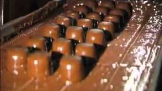 How Its Made Assorted Chocolates [upl. by Frederic]