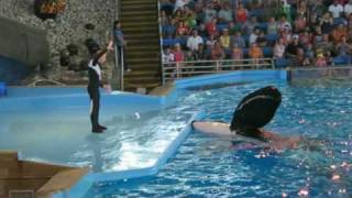 HD Complete Shamu Show Believe  Part 1 of 4  Sea World San Antonio TX [upl. by Cele533]