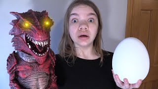 WE HATCHED A DRAGONS EGG [upl. by Yeknarf]