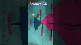 Human endocrine glandsscience anatomy biology neet [upl. by Tattan]