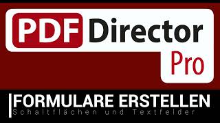 PDF Director  Formulare [upl. by Tnafni908]