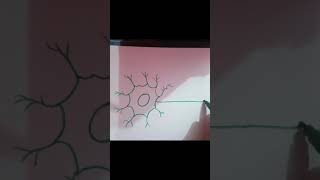 how to draw neuron in 30 sec neuron drawing howtodraw [upl. by Esbensen349]