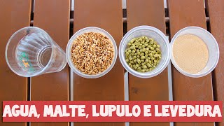 Como fazer cerveja O que é cerveja  Parte 110 [upl. by Neemsay]