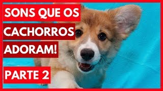 SONS que os cachorros ADORAM ouvir  Parte 2 Assista com seu cão dicasboaspracachorro [upl. by Nit]