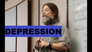 Robert Sapolsky  Depression  Psychology amp Neuroscience Lecture [upl. by Ridglee91]