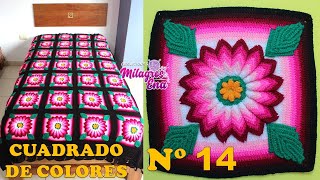 Como tejer el Cuadrado o muestra de colores N° 14 a crochet para colchas y cojines paso a paso [upl. by Mercer]