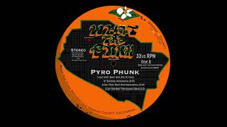 Pyro Phunk  Cant Stop Wont Stop Acoustic Remix [upl. by Lotty452]