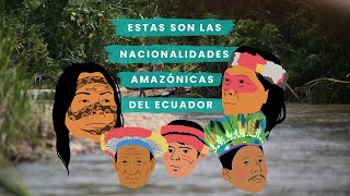 Estas son las nacionalidades amazónicas del Ecuador [upl. by Leveridge]