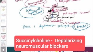 Succinylcholine  Depolarizing neuromuscular blockers neurology 170  First Aid USMLE Step 1 [upl. by Pogue]