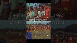 BODOLAND BODO CALSAR  BODONI JARIMIN MWSANAI 1960 dance [upl. by Enilauqcaj]