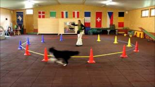 Demo  Longierzirkeltraining mit Hund  von Anja Jakob wwwclickntrickde und wwwanjajakobcom [upl. by Airotal]