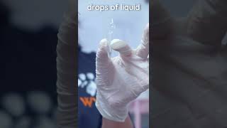 How to prepare a veterinary urine sediment sample veterinary clinicalskills vetacademy shorts [upl. by Lovell]