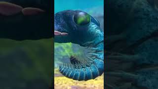 Anomalocaride  il primo predatore animale  Documentari Dinosauri in italiano [upl. by Padgett]